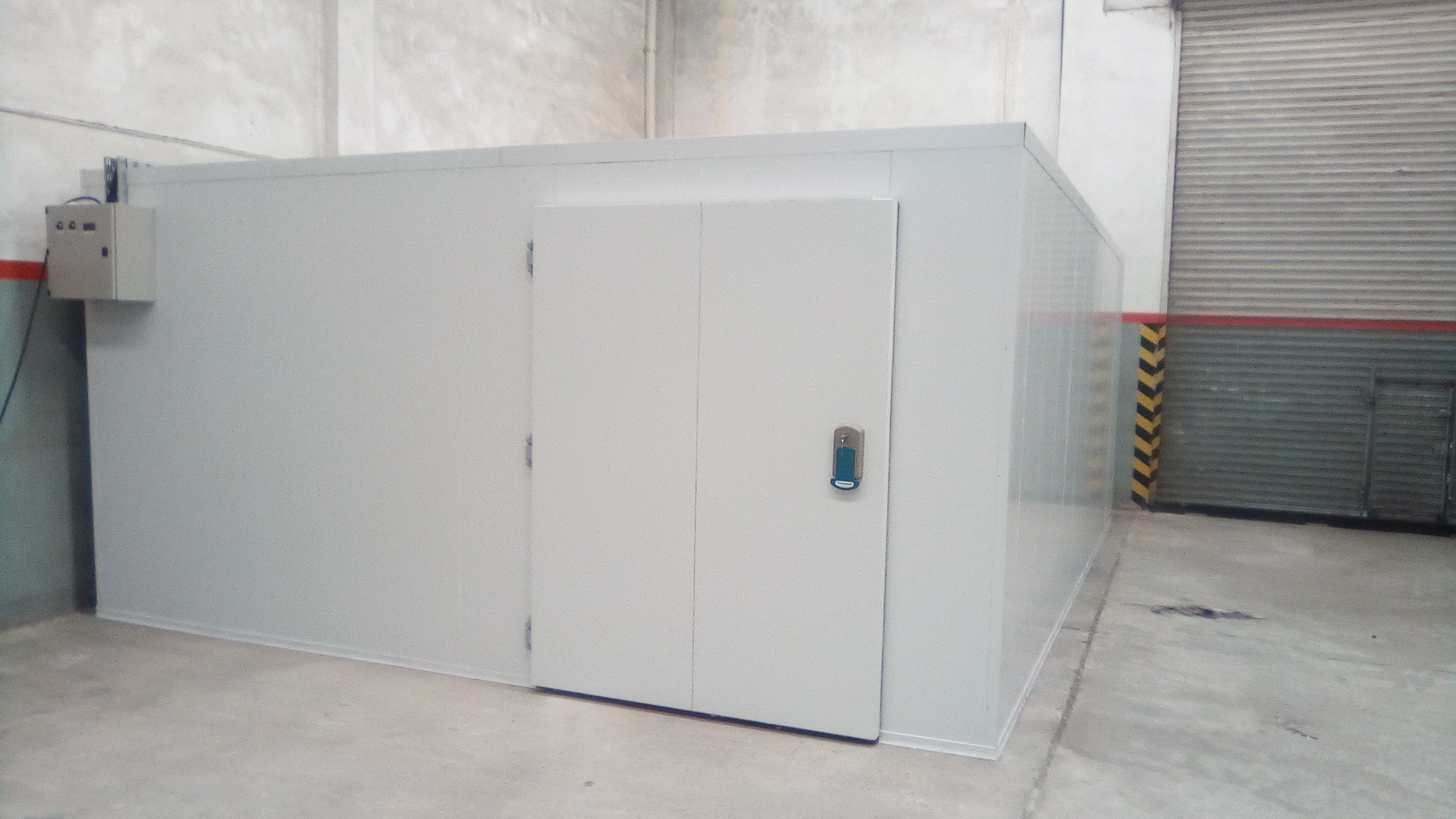 Creative Web Project